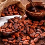 El cacao peruano rompe la barrera de los US$ 1,500 millones