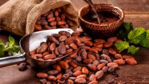 El cacao peruano rompe la barrera de los US$ 1,500 millones