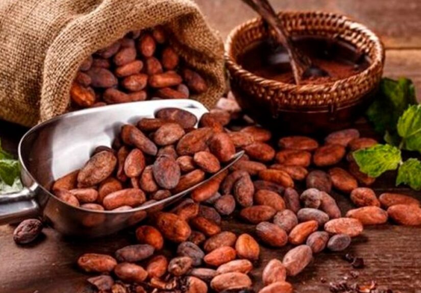 El cacao peruano rompe la barrera de los US$ 1,500 millones